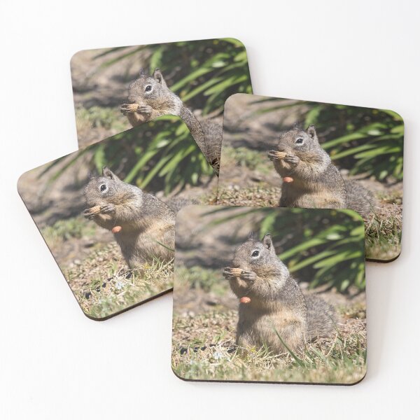 Item preview, Oops, Dropped My Nut designed and sold by CarolM.