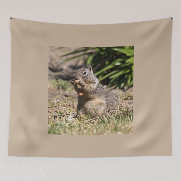 Item preview, Oops, Dropped My Nut designed and sold by CarolM.