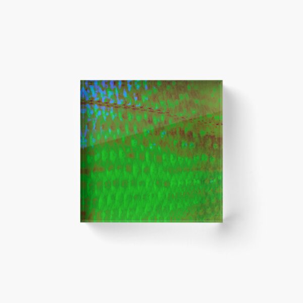 Item preview, Bright Green Scup Porgy Skin  designed and sold by CJRPics.