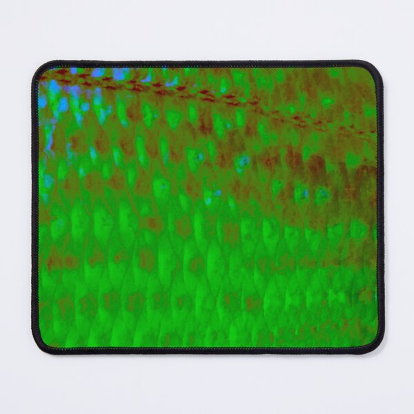 Item preview, Bright Green Scup Porgy Skin designed and sold by CJRPics.