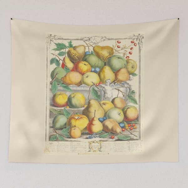 Item preview, January, from The Twelve Months of Fruits, by Robert Furber (1732) High definition designed and sold by MINDTHECHERRY.