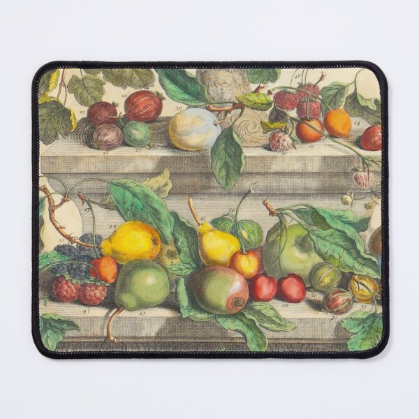 Item preview, June, from The Twelve Months of Fruits, by Robert Furber (1732) High definition designed and sold by MINDTHECHERRY.