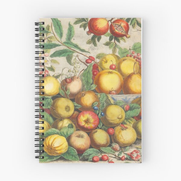 Item preview, May, from The Twelve Months of Fruits, by Robert Furber (1732) High definition designed and sold by MINDTHECHERRY.