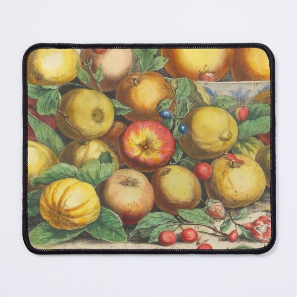 Item preview, May, from The Twelve Months of Fruits, by Robert Furber (1732) High definition designed and sold by MINDTHECHERRY.