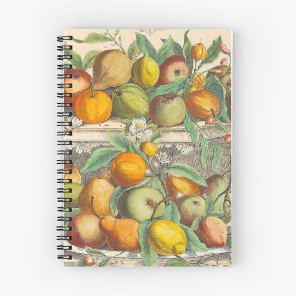 Item preview, April, from The Twelve Months of Fruits, by Robert Furber (1732) High definition designed and sold by MINDTHECHERRY.