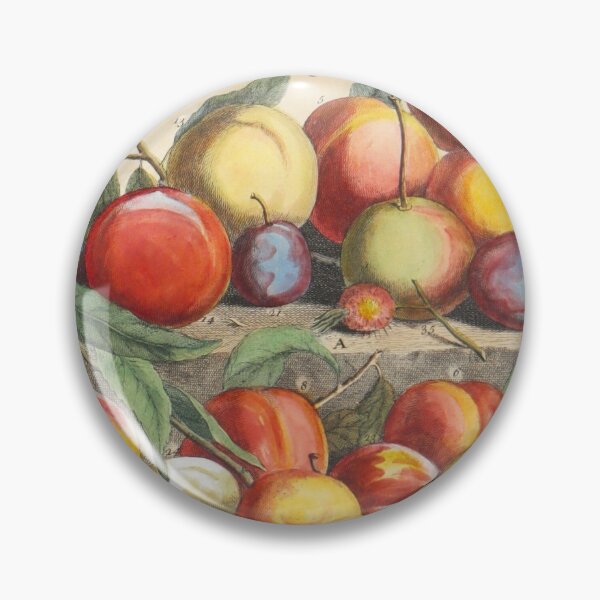 Item preview, August, from The Twelve Months of Fruits, by Robert Furber (1732) High definition designed and sold by MINDTHECHERRY.