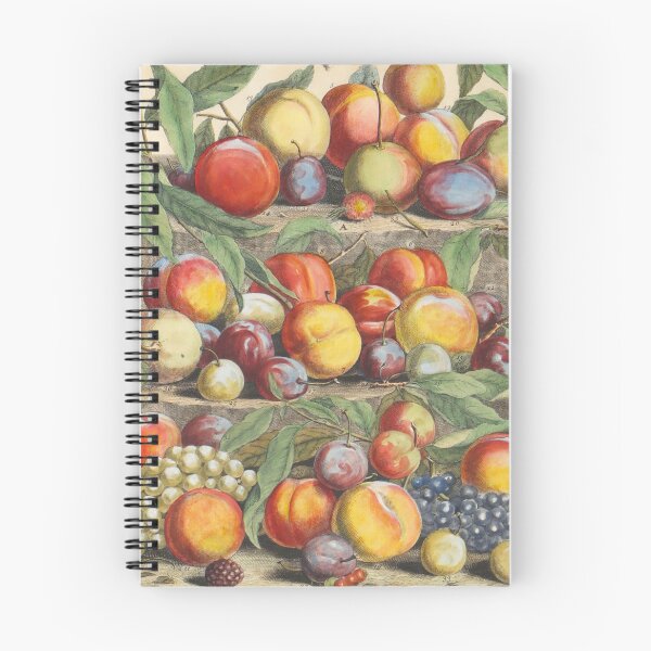 Item preview, August, from The Twelve Months of Fruits, by Robert Furber (1732) High definition designed and sold by MINDTHECHERRY.