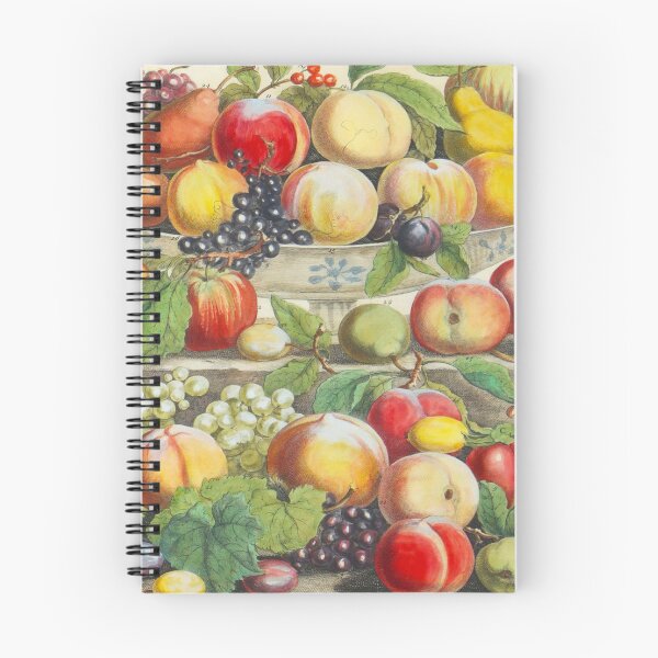 Item preview, September, from The Twelve Months of Fruits, by Robert Furber (1732) High definition designed and sold by MINDTHECHERRY.