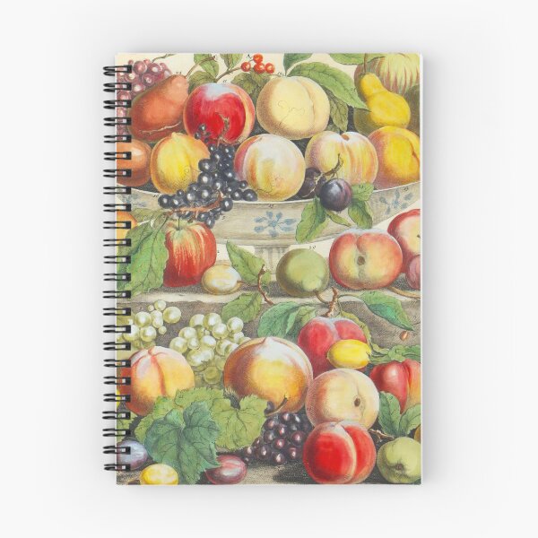 Item preview, September, from The Twelve Months of Fruits, by Robert Furber (1732) High definition designed and sold by MINDTHECHERRY.