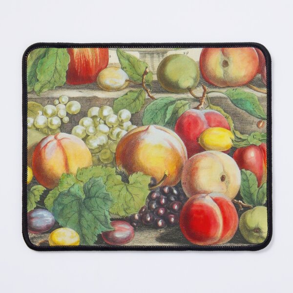Item preview, September, from The Twelve Months of Fruits, by Robert Furber (1732) High definition designed and sold by MINDTHECHERRY.