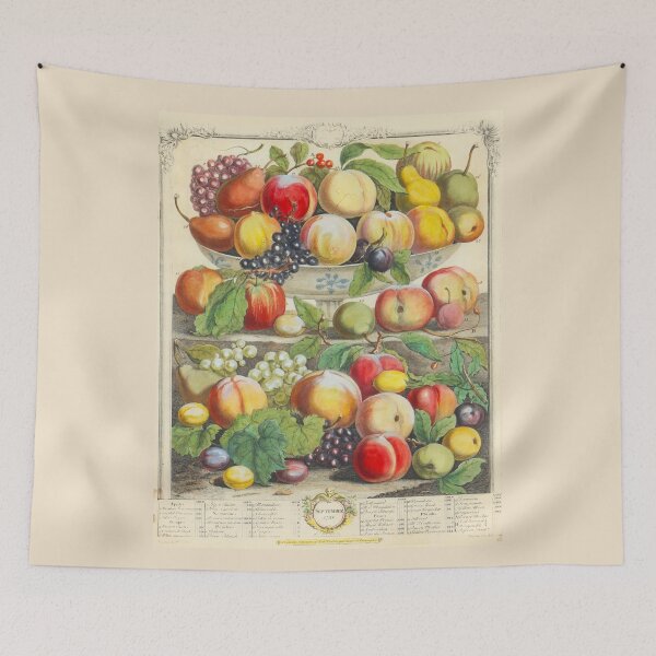 Item preview, September, from The Twelve Months of Fruits, by Robert Furber (1732) High definition designed and sold by MINDTHECHERRY.