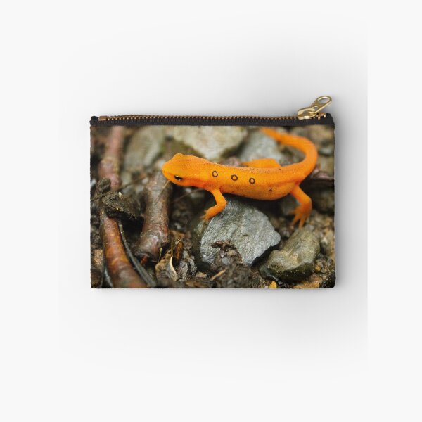 Artikelvorschau, EFT sonnen sich im Boyd Big Tree Preserve entworfen und verkauft von Maritza Morales.