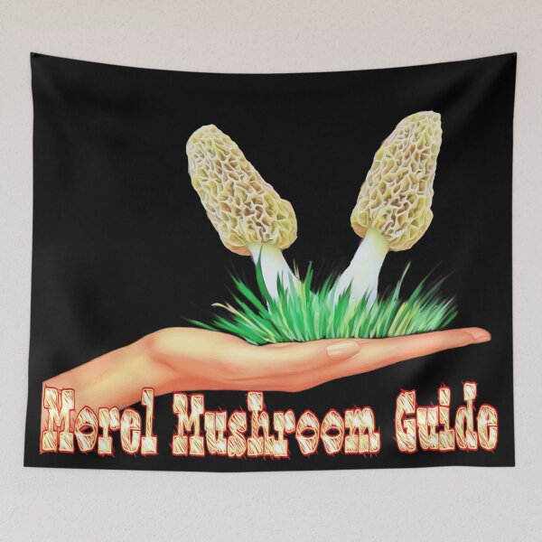 Item preview, Mushroom Guide designed and sold by natnat7w.