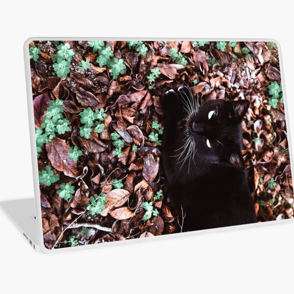 Lucy the cat in the forest Image 2 - Nature photography Laptop Skin