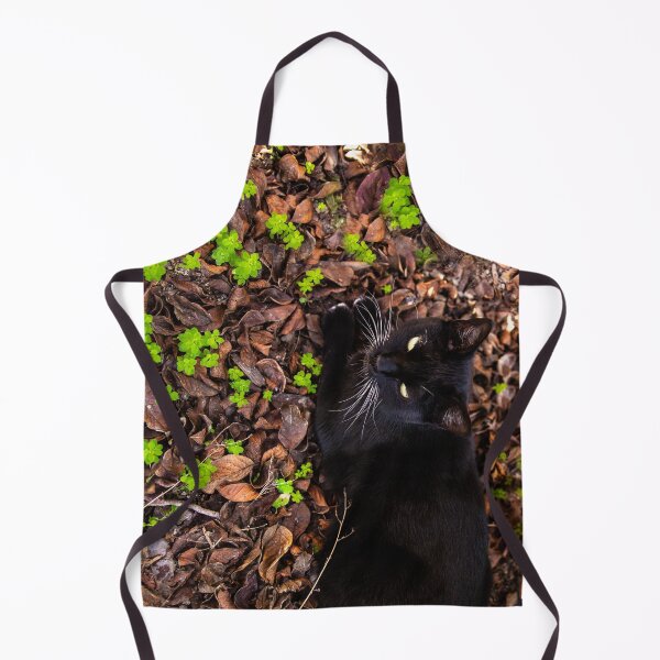 Item preview, Lucy the cat in the forest. Image 1 - Pet Photography in nature designed and sold by artsychickphoto.
