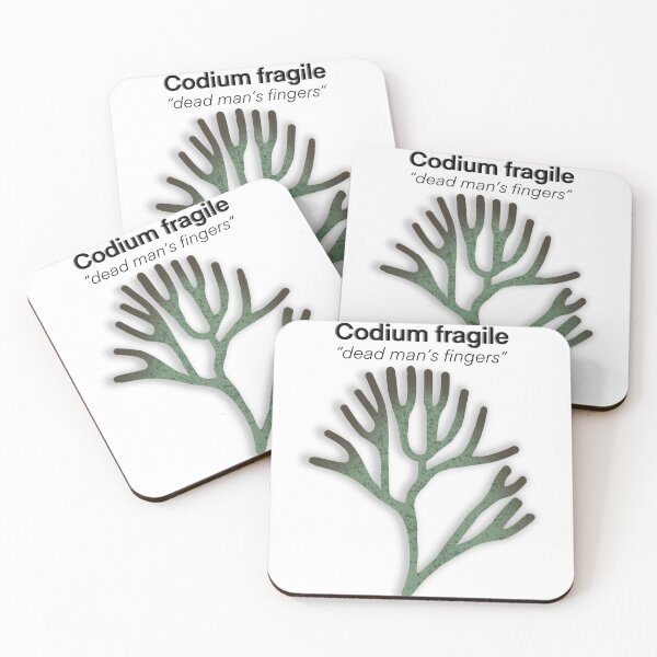 Item preview, Dead Man's Fingers designed and sold by CoastalArts.