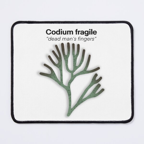 Item preview, Dead Man's Fingers designed and sold by CoastalArts.