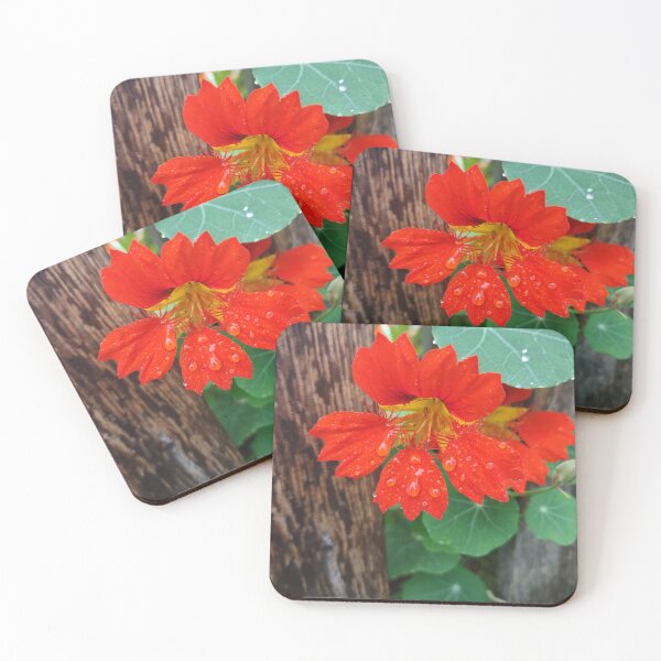 Item preview, Nasturtium  designed and sold by CHWPhotos.