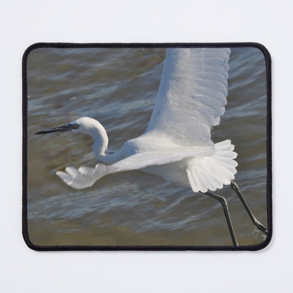 Item preview, White Morph Reddish Egret designed and sold by Savannah Gibbs.