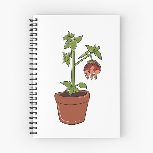 Item preview, Tomato frog designed and sold by SelenasArt.