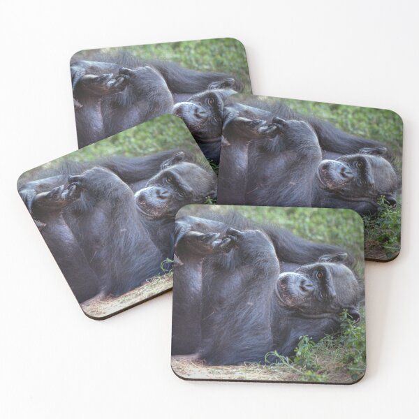 Item preview, Chimpance designed and sold by Savannah Gibbs.
