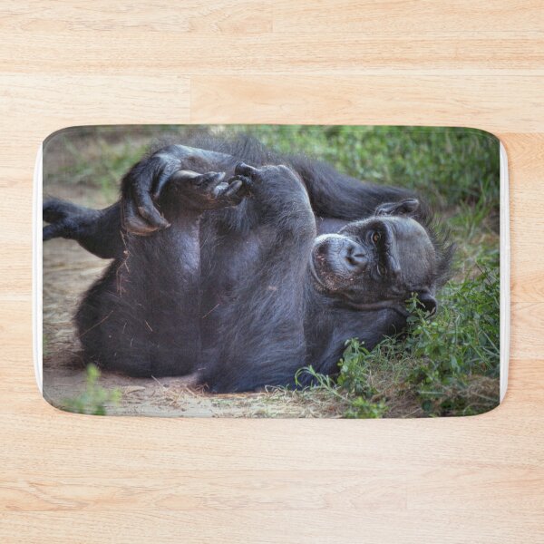 Item preview, Chimpance designed and sold by Savannah Gibbs.