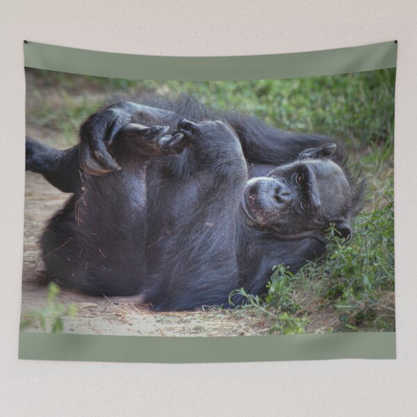 Item preview, Chimpance designed and sold by Savannah Gibbs.
