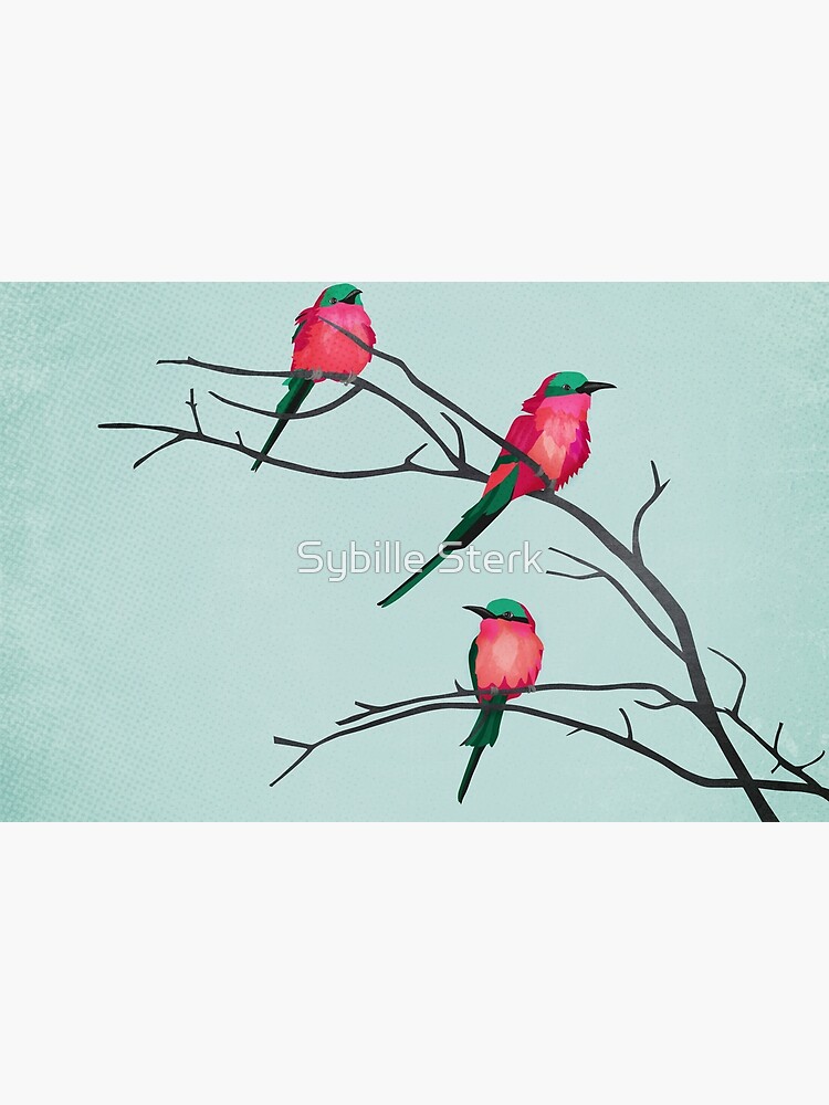 Cardinal birds by MagpieMagic