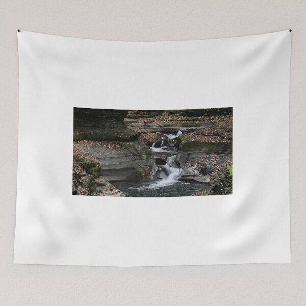 Item preview, The Twisting Glen Creek of Watkins Glen designed and sold by fototaker Tony.