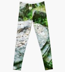 Archaeological Site Leggings