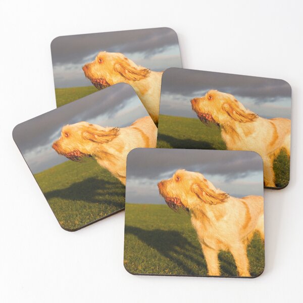 Item preview, Evening breeze Spinone designed and sold by FOLK ART FUSION by heidiannemorris.
