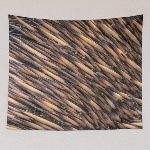 Item preview, A Prickly Echidna Encounter designed and sold by Steven Jodoin.