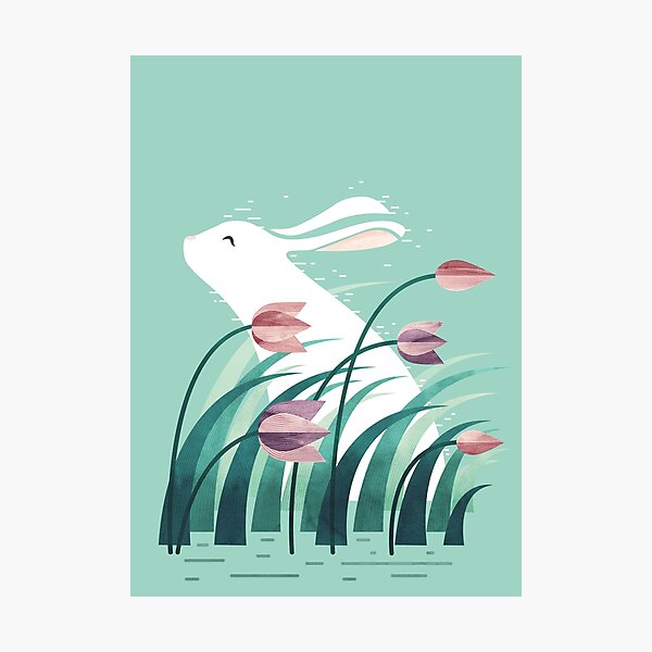 Rabbit, Resting Photographic Print