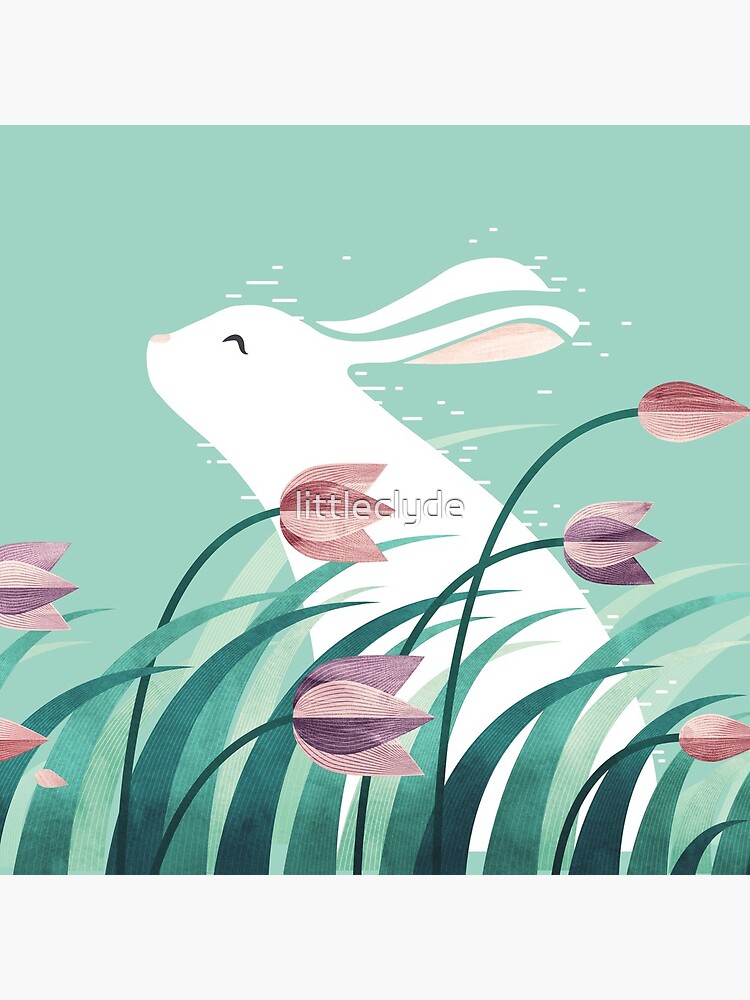 Rabbit, Resting by littleclyde