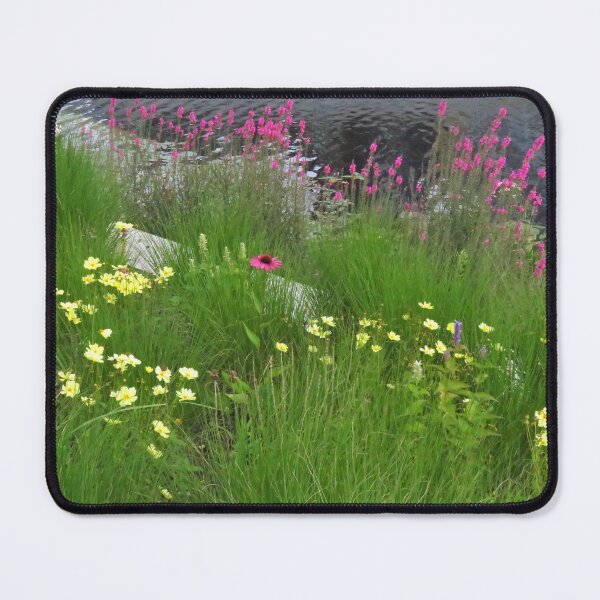 Item preview, USA Embassy Garden, London designed and sold by wiggyofipswich.