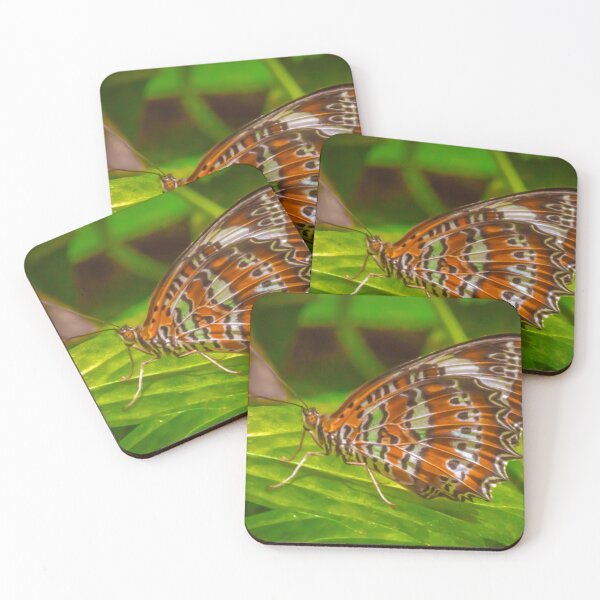 Item preview, Butterfly - Melbourne Zoo, Victoria designed and sold by Steven Jodoin.