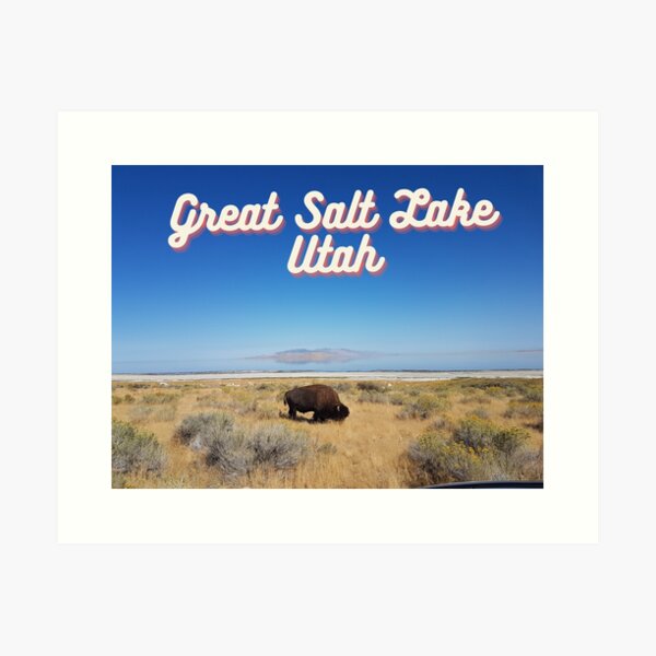 Item preview, Solitary Bison and the great salt lake designed and sold by Atecom's Global Gallery.