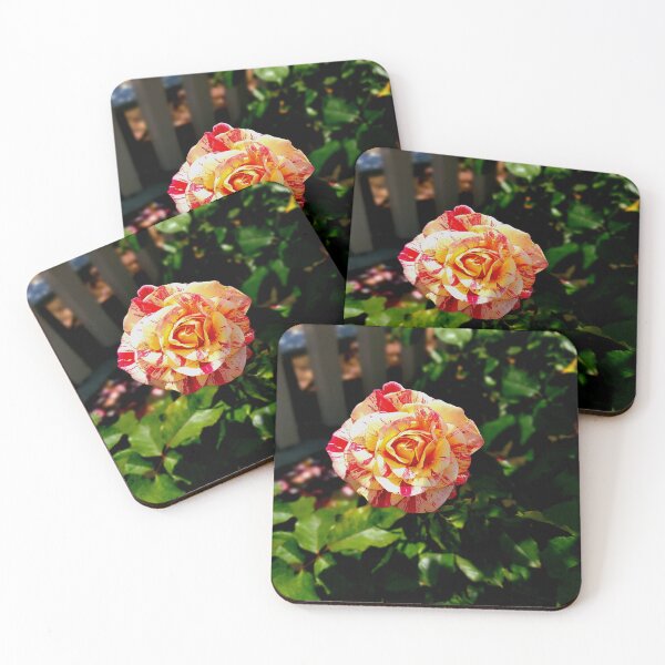 Item preview, Balboa Park Roses designed and sold by rsandstedt5386.