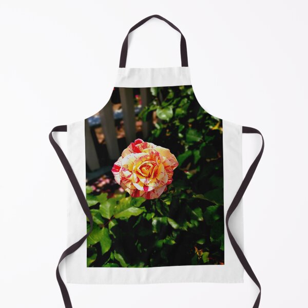 Item preview, Balboa Park Roses designed and sold by rsandstedt5386.