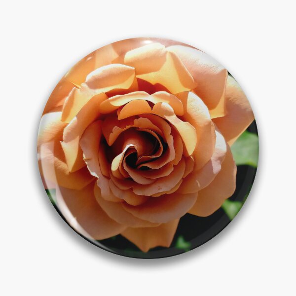 Item preview, Balboa Park Roses designed and sold by rsandstedt5386.