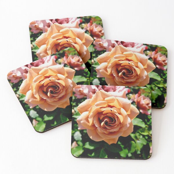 Item preview, Balboa Park Roses designed and sold by rsandstedt5386.