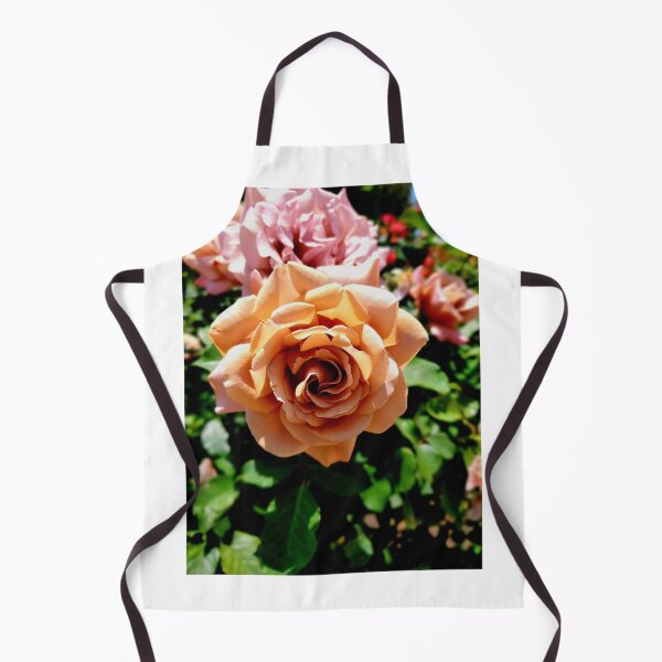 Item preview, Balboa Park Roses designed and sold by rsandstedt5386.