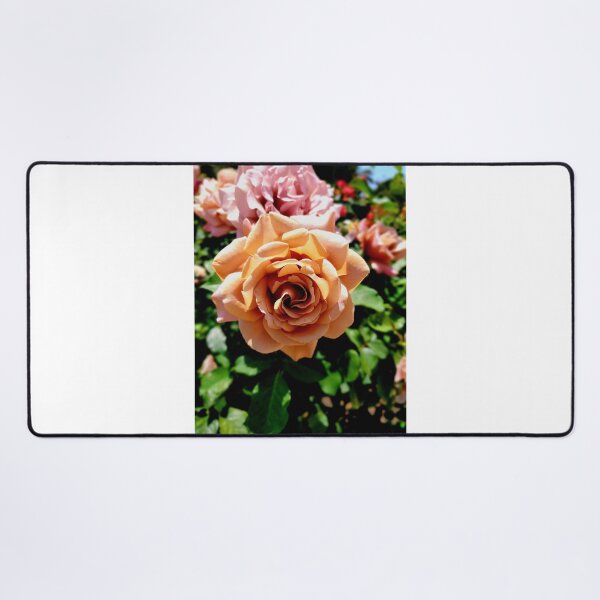 Artikelvorschau, Balboa Park Rosen entworfen und verkauft von rsandstedt5386.