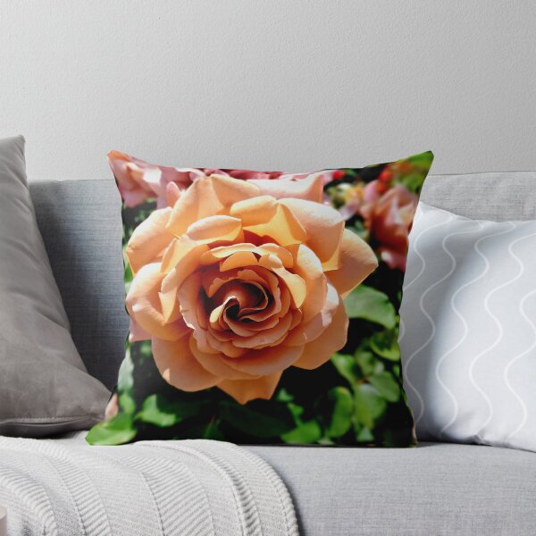 Artikelvorschau, Balboa Park Rosen entworfen und verkauft von rsandstedt5386.