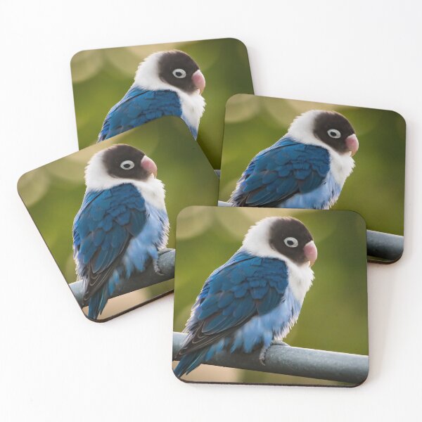 Item preview, black masked lovebird designed and sold by william672.