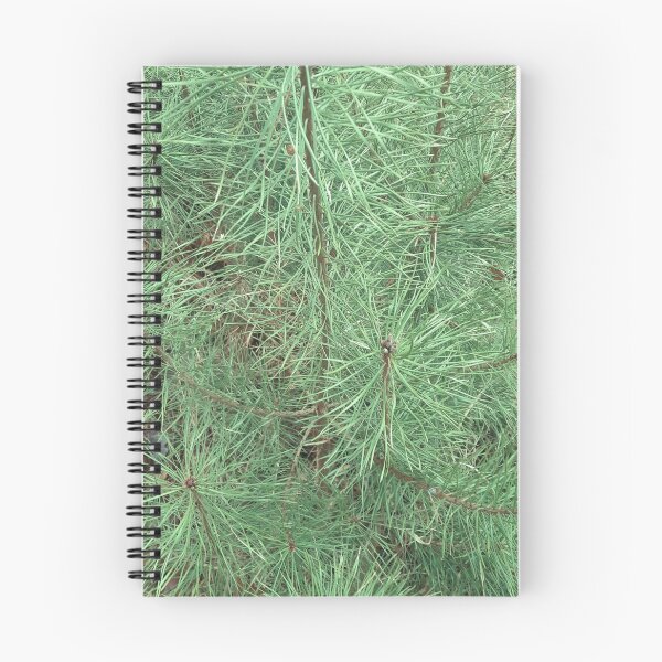 Item preview, Spruce or fir needles designed and sold by Robert Elfferich.