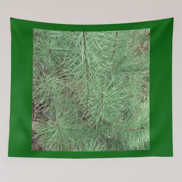 Item preview, Spruce or fir needles designed and sold by Robert Elfferich.