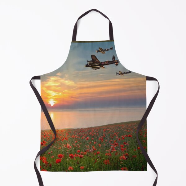 Item preview, Battle of Britain Memorial Flight designed and sold by Alisonchambers2.