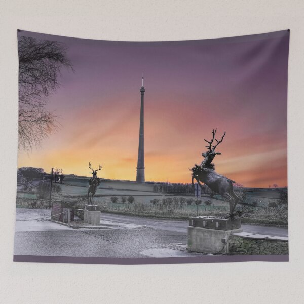 Item preview, Emley Moor Mast designed and sold by Alisonchambers2.