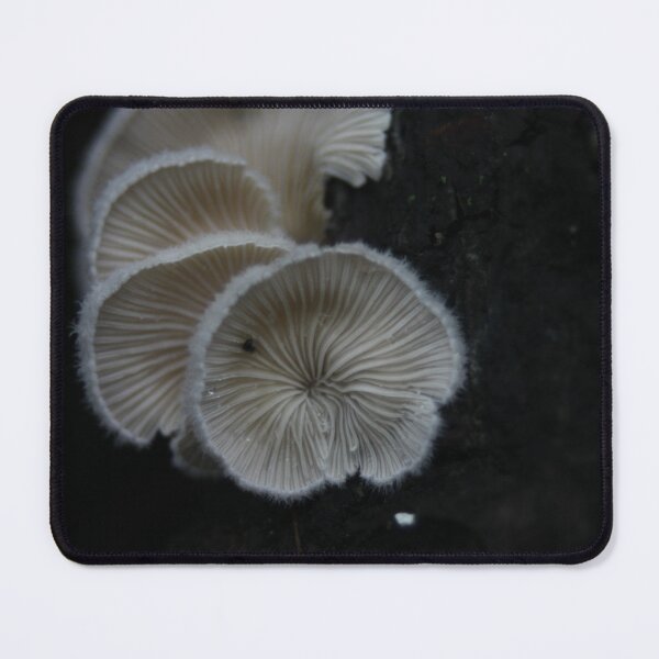 Item preview, Splitgill Mushroom designed and sold by WolfNoodles.